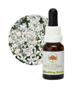 Wedding Bush, 15 ml